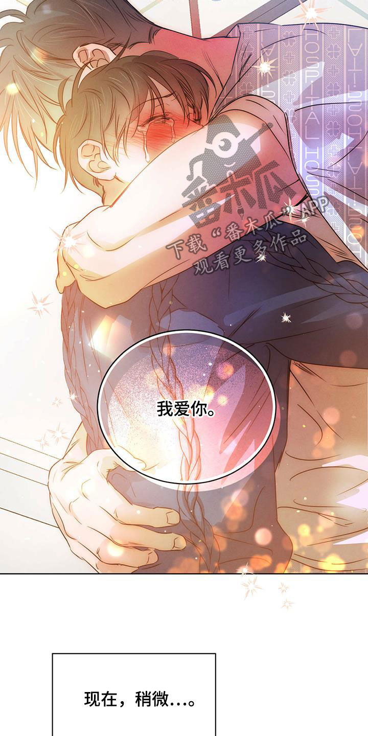 柳树下的浪漫漫画,第114章：【第二季】未来可期（完结）1图