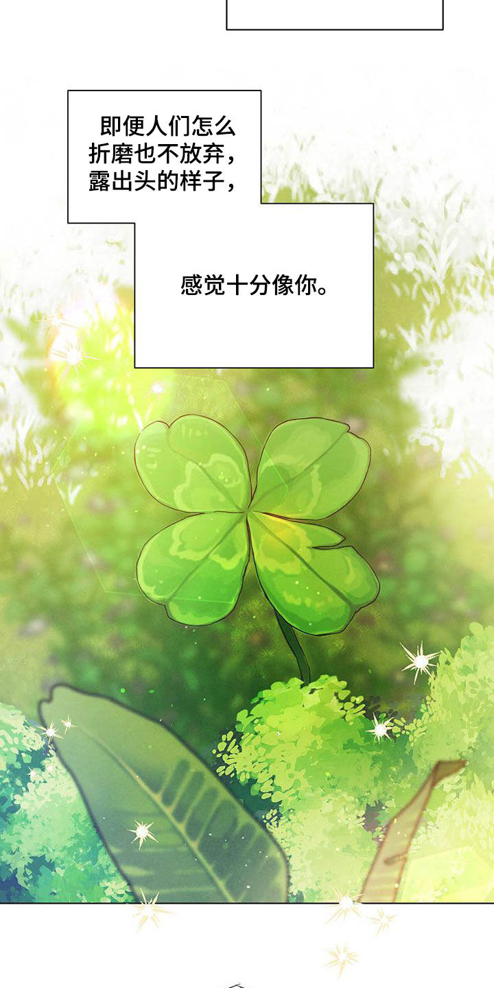 柳树下的浪漫漫画,第105章：【第二季】袭击4图