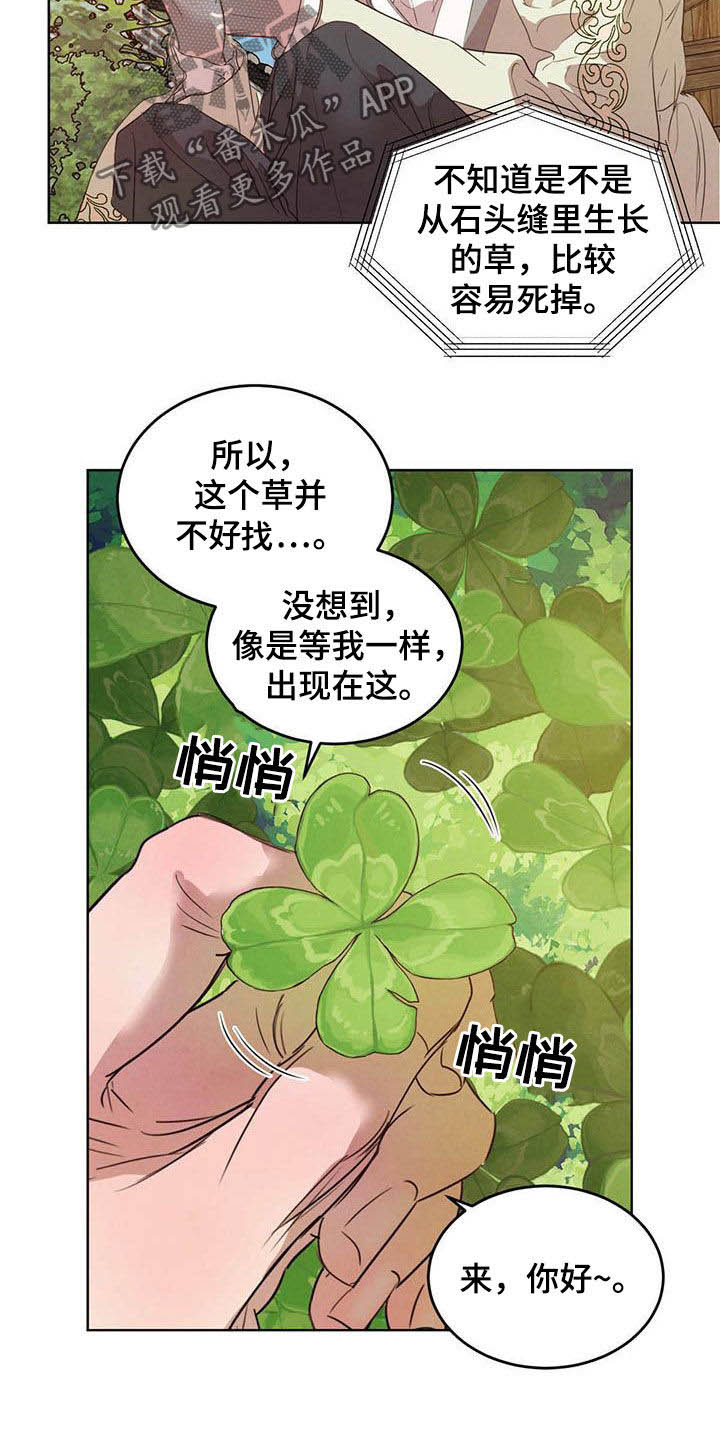 柳树下的浪漫漫画,第104章：【第二季】四叶草2图