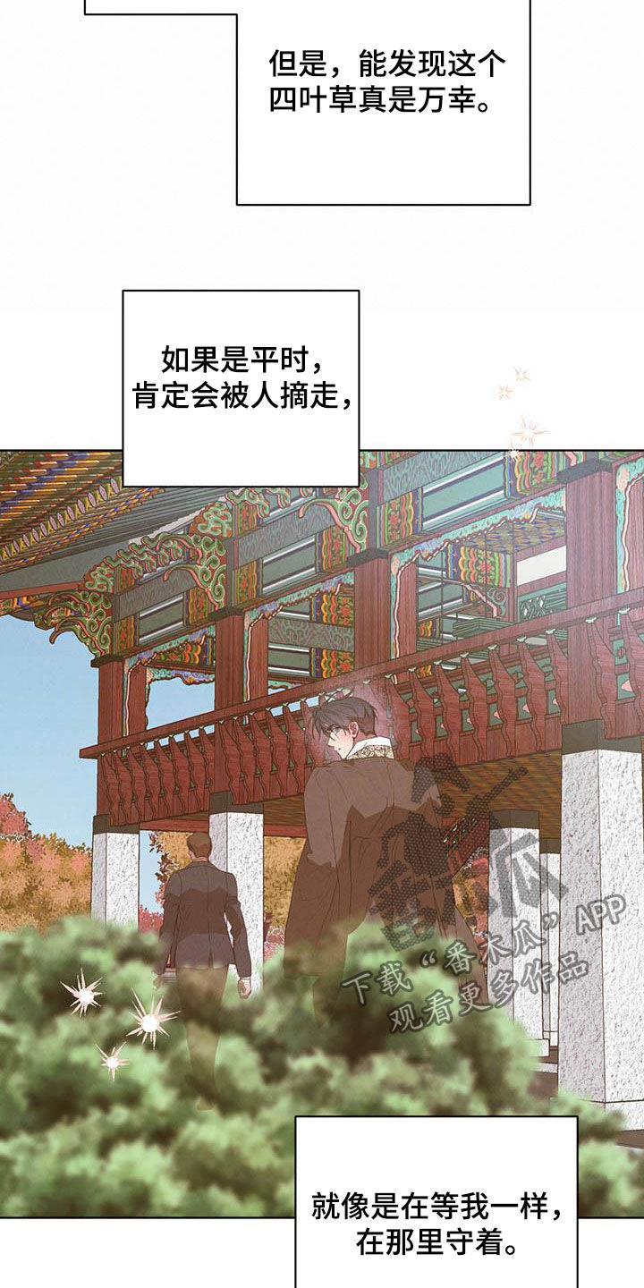 柳树下的浪漫漫画,第105章：【第二季】袭击3图