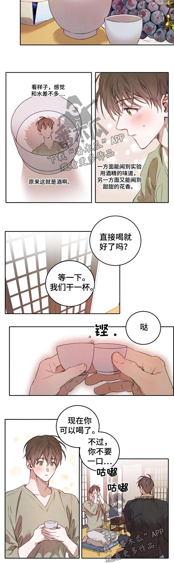 柳树下的浪漫漫画,第24章：喝酒4图