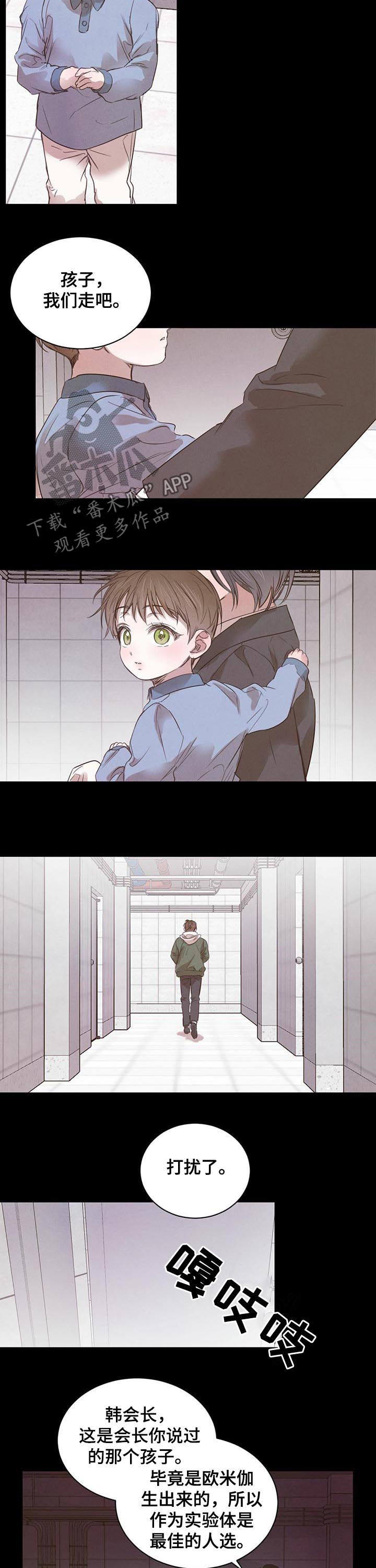 柳树下的浪漫漫画,第58章：【第二季】最佳人选4图