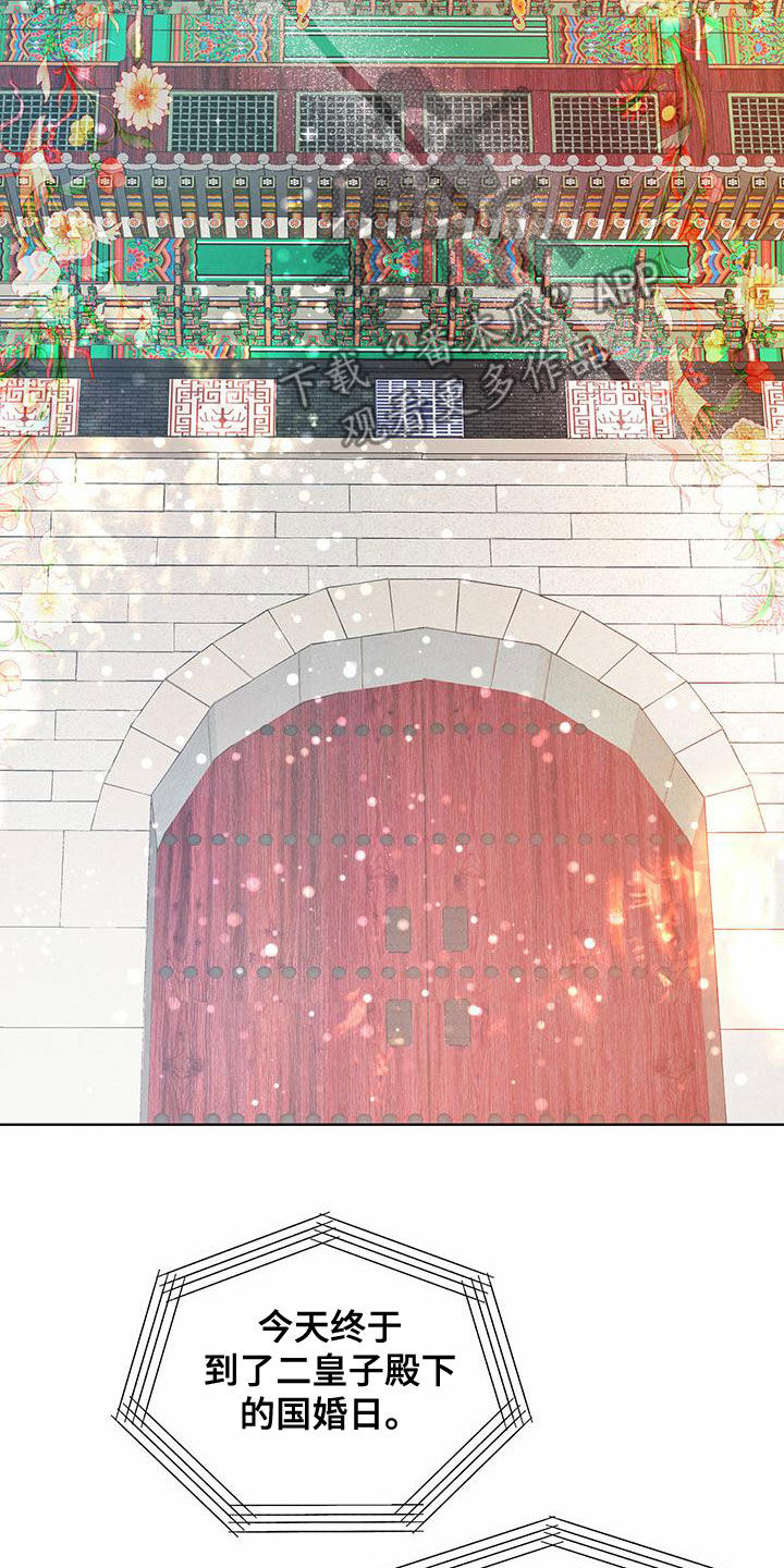 柳树下的浪漫漫画,第123章：【番外】国婚当日5图