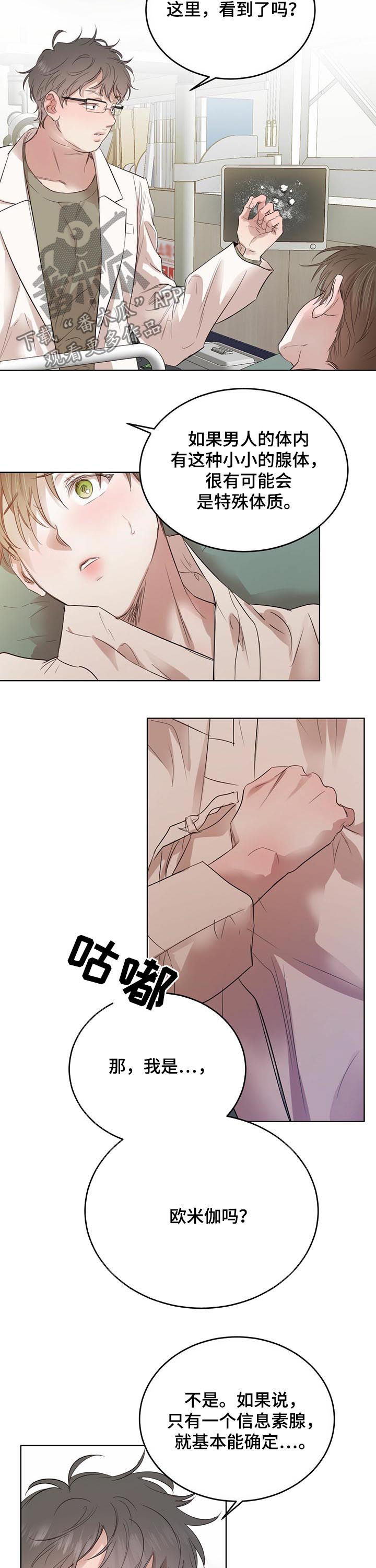 柳树下的浪漫漫画,第77章：【第二季】异常2图