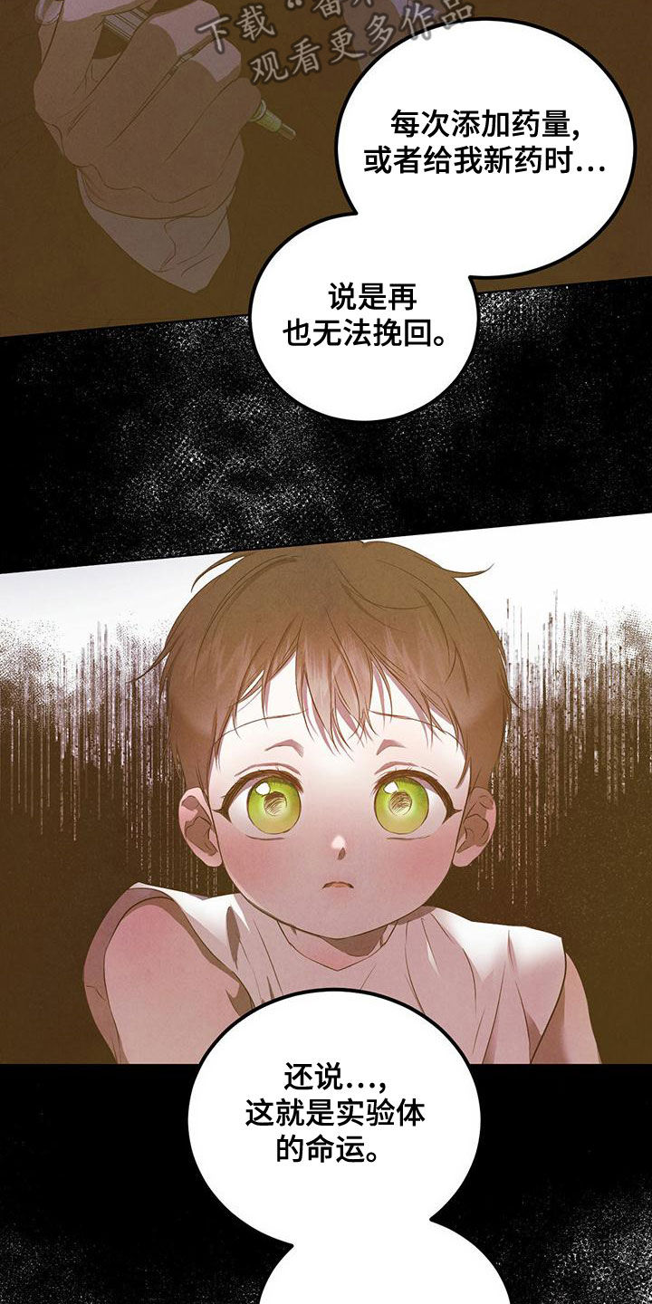 柳树下的浪漫漫画,第123章：【番外】国婚当日5图