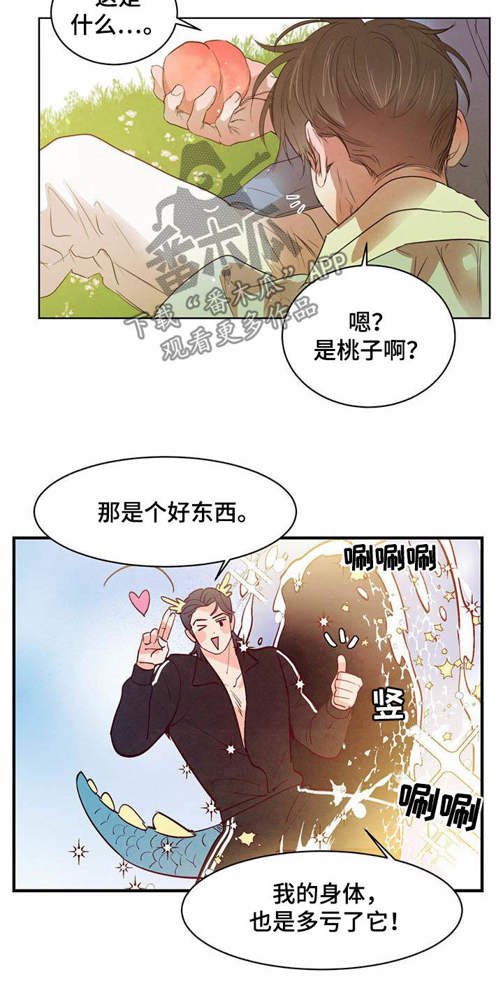 柳树下的浪漫漫画,第108章：【特别篇】龙飞桃落2图