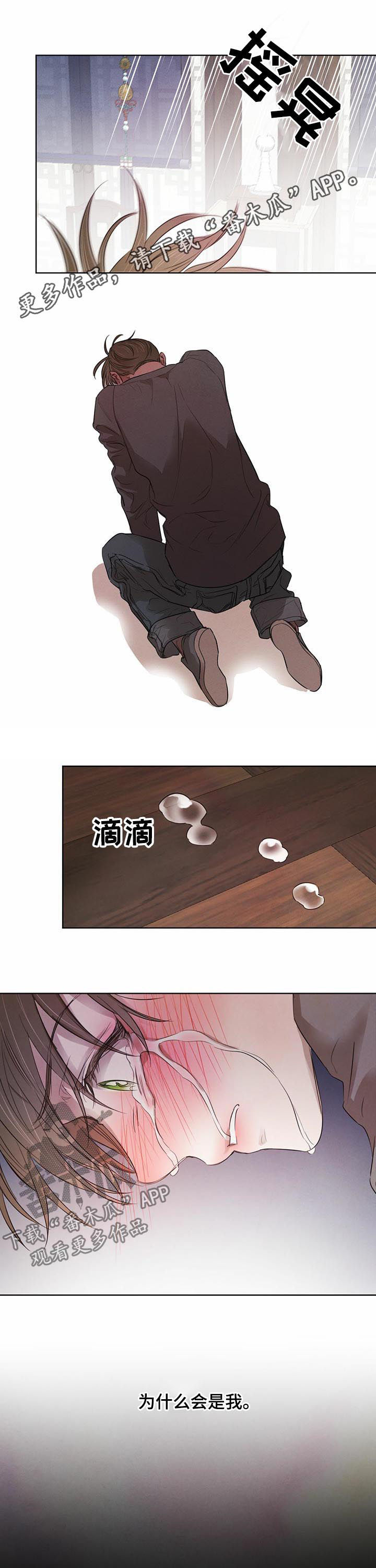 柳树下的浪漫漫画,第58章：【第二季】最佳人选1图