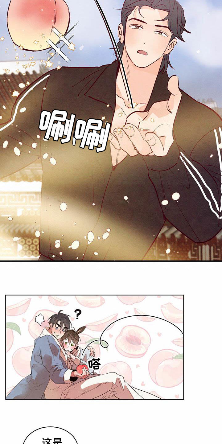 柳树下的浪漫漫画,第108章：【特别篇】龙飞桃落1图