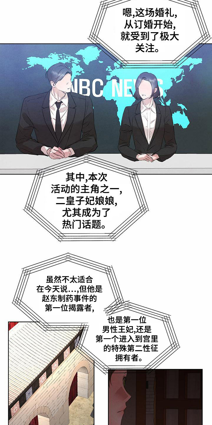 柳树下的浪漫漫画,第123章：【番外】国婚当日1图