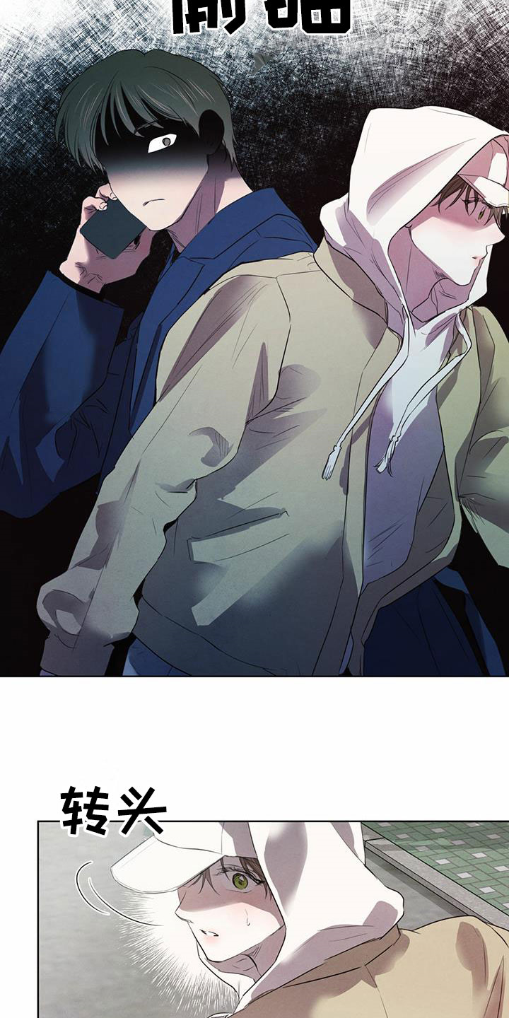 柳树下的浪漫漫画,第96章：【第二季】夜游3图