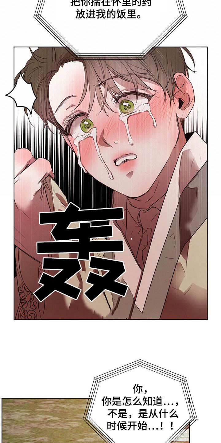 柳树下的浪漫漫画,第105章：【第二季】袭击2图