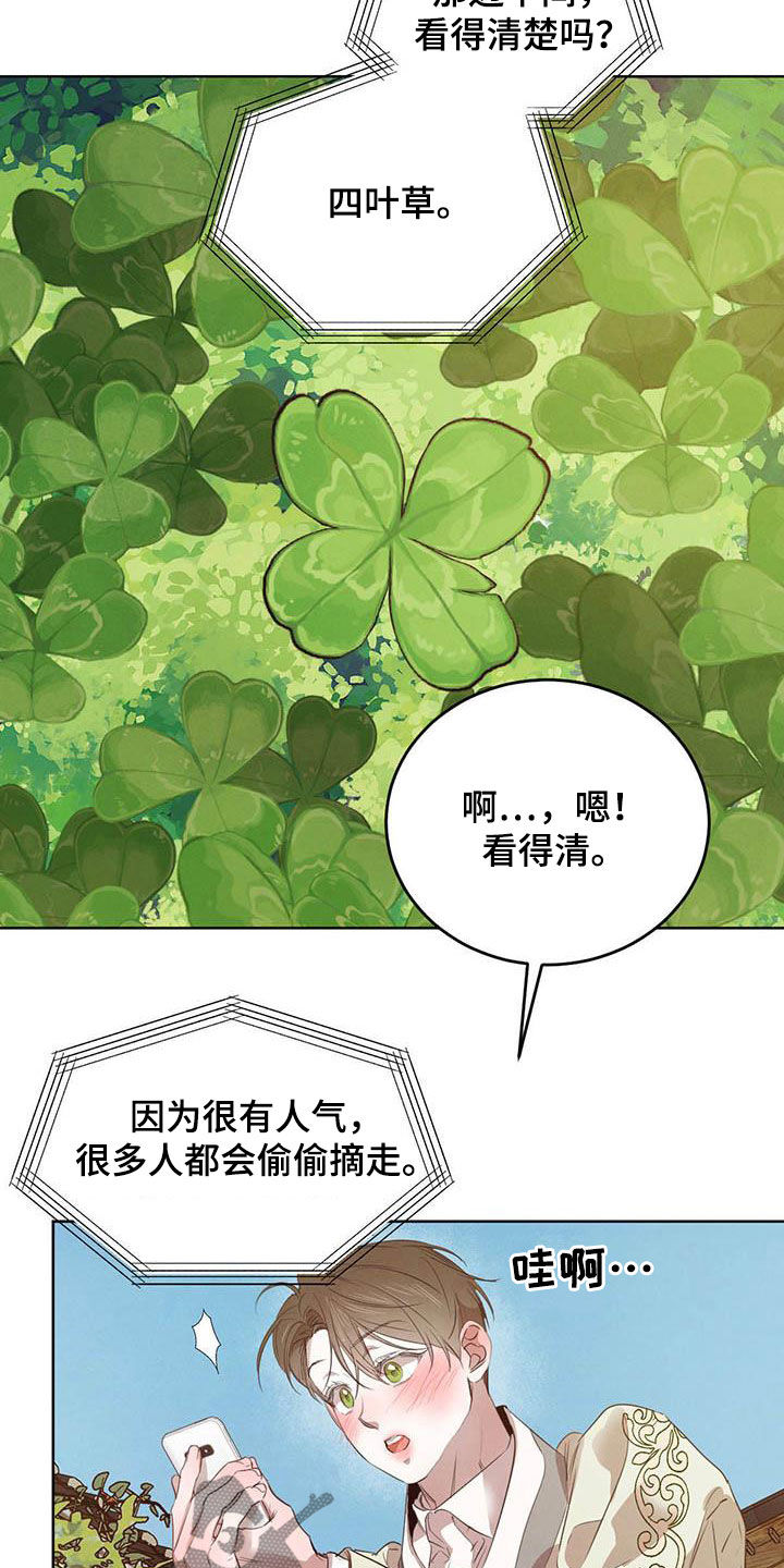 柳树下的浪漫漫画,第104章：【第二季】四叶草1图
