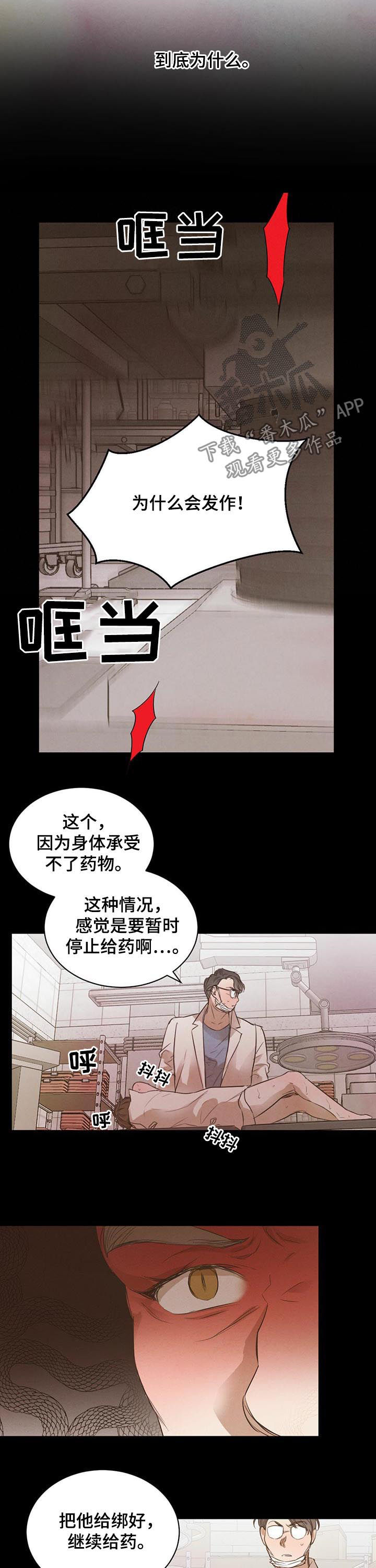柳树下的浪漫漫画,第58章：【第二季】最佳人选2图