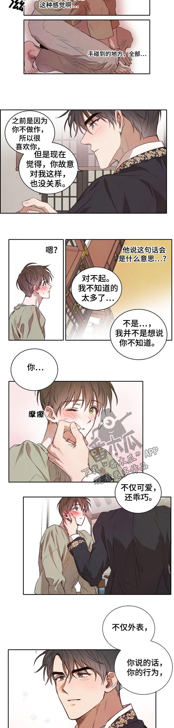 柳树下的浪漫漫画,第24章：喝酒3图