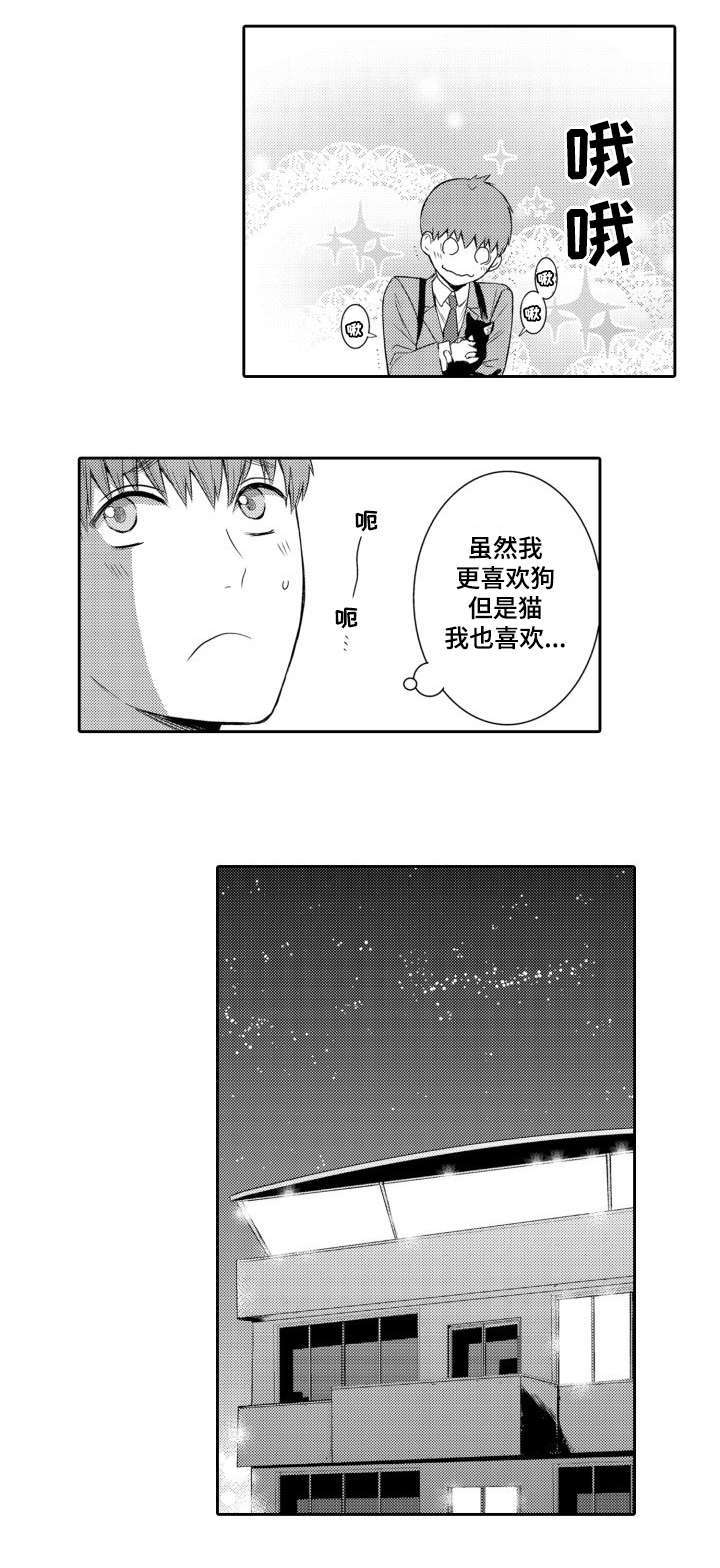 情不宜迟漫画,第56章：养猫4图