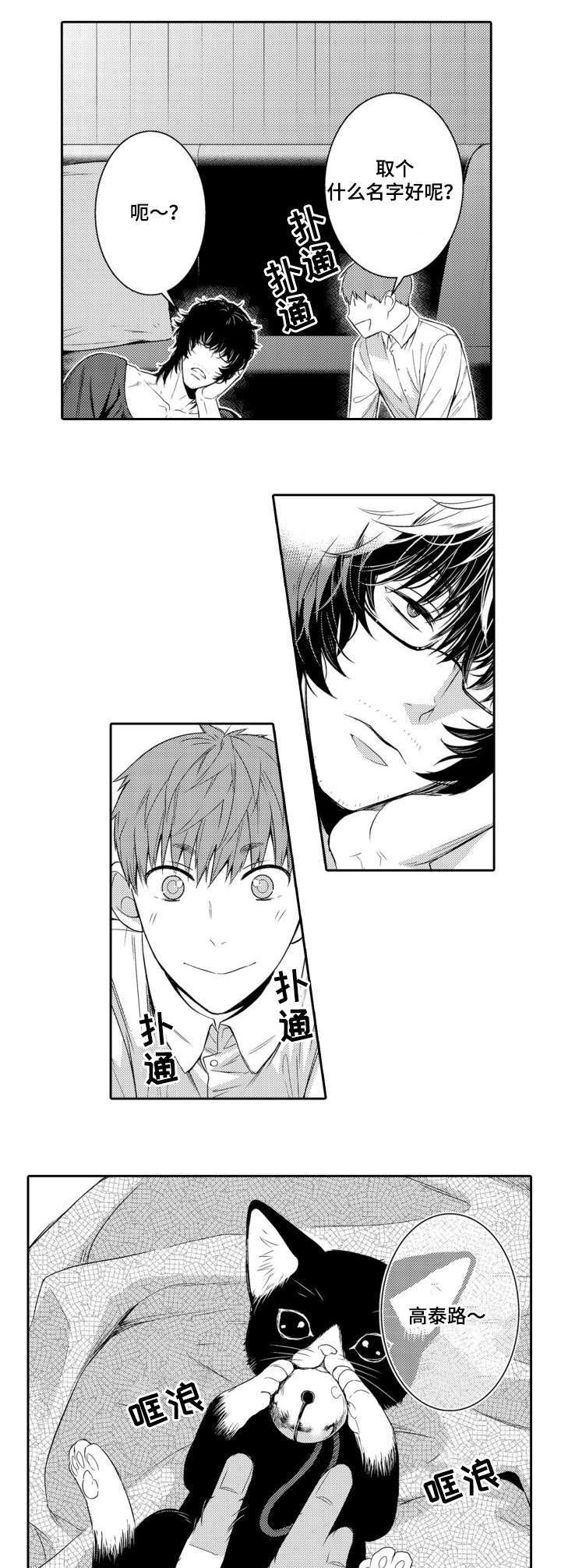 第56章：养猫2