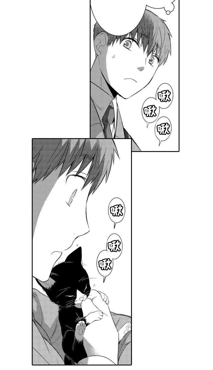 情不宜迟漫画,第56章：养猫3图