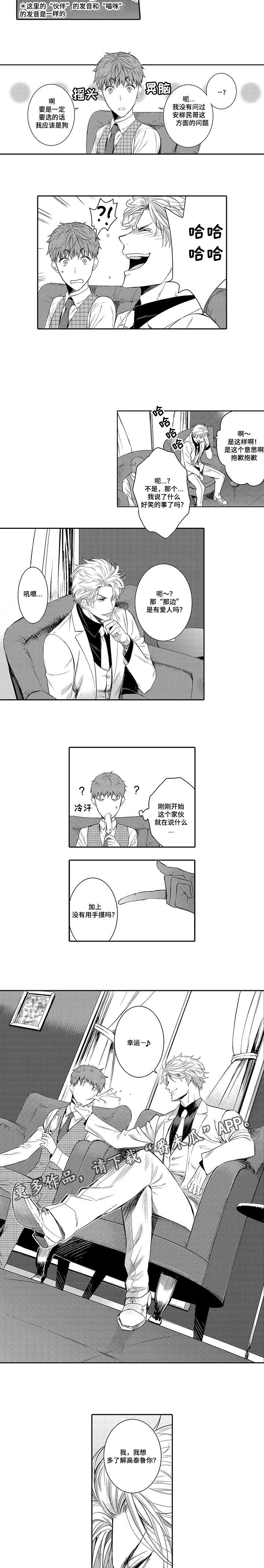 情不宜迟漫画,第11章：猫咪2图