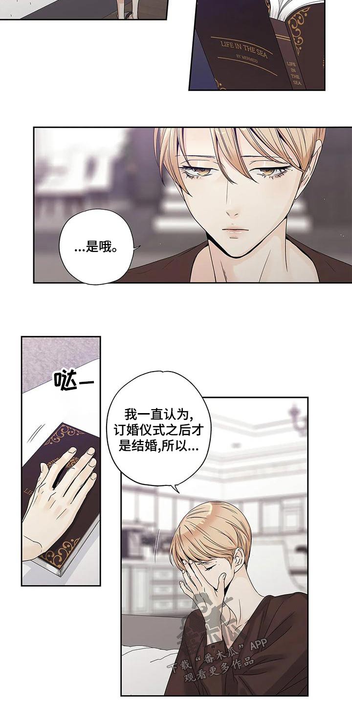 不枉此生来过漫画,第47章：订婚仪式2图