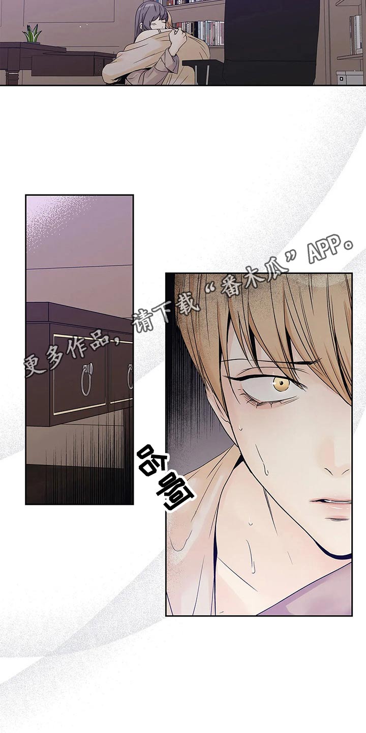 不枉此生音乐在哪听漫画,第41章：已经变了1图