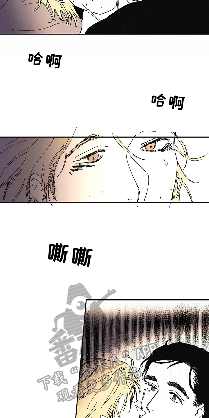 线性低密度聚乙烯漫画,第21章：依赖1图