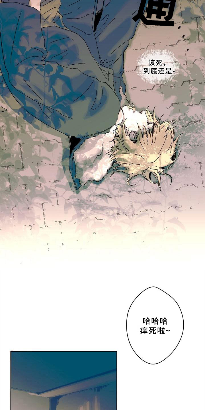 线性变换哪个说法错误漫画,第3章：幻觉4图