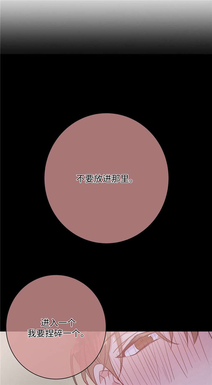 危险合作漫画,第32章：被抓回来1图