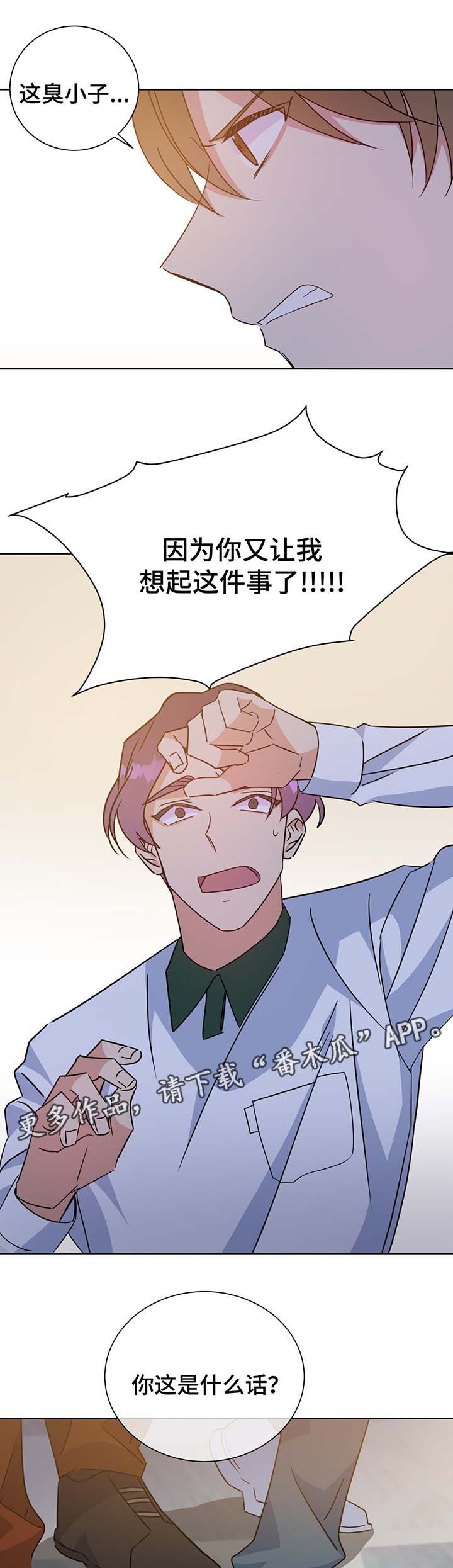 危险合作漫画,第63章：结婚的消息2图