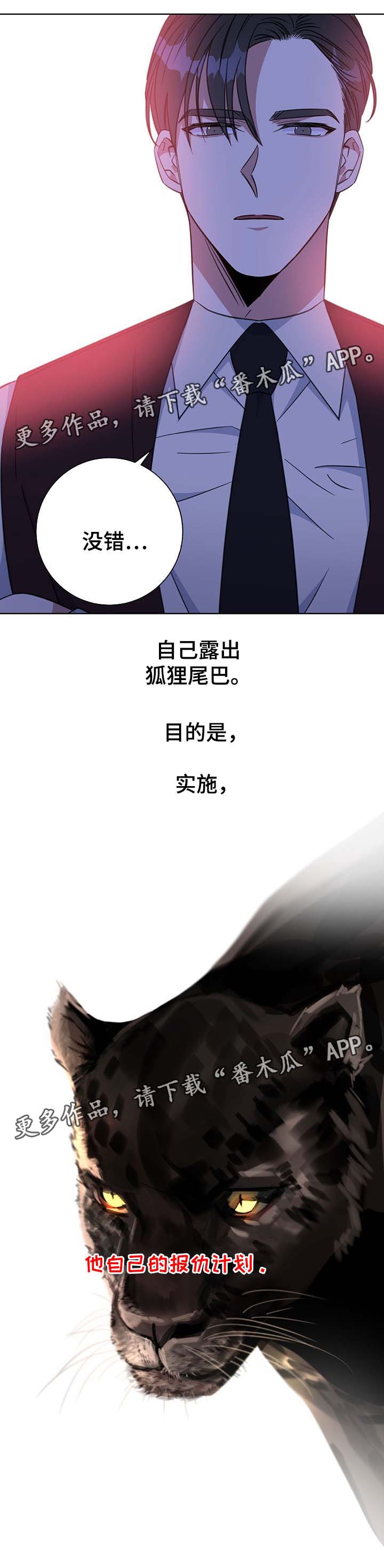 危险合作漫画,第77章：报仇计划4图