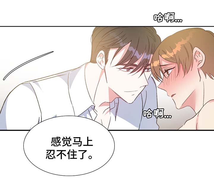 危险合作漫画,第68章：我喜欢你4图