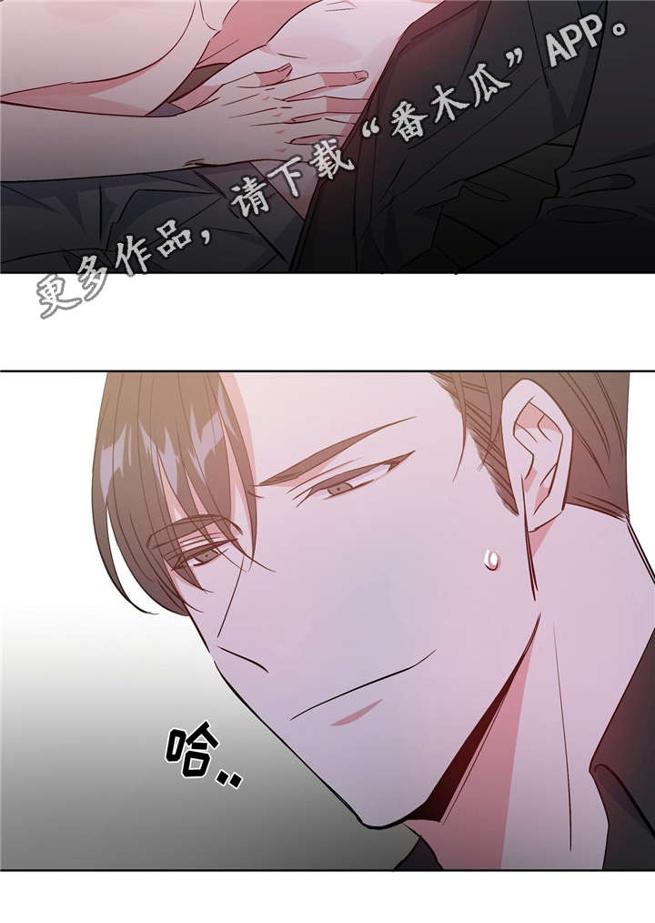 危险合作漫画,第40章：速战速决1图