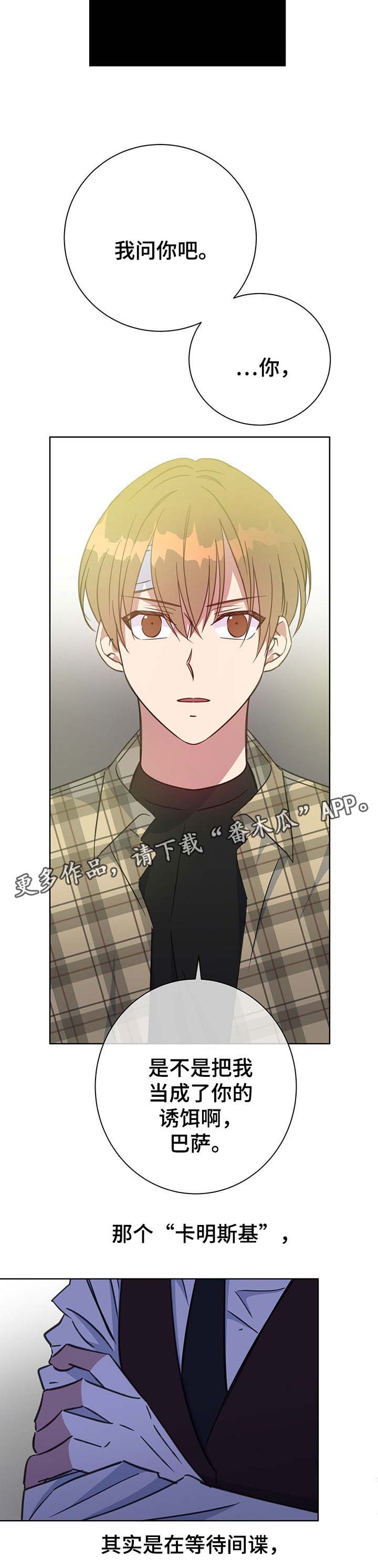 危险合作漫画,第77章：报仇计划3图