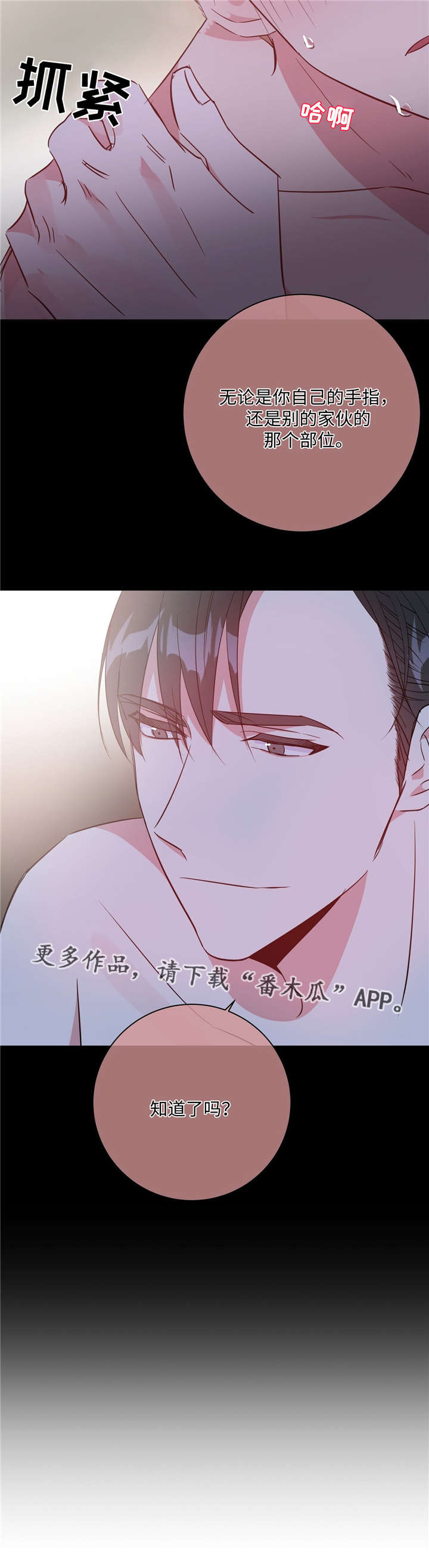 危险合作漫画,第32章：被抓回来2图