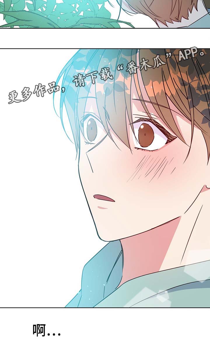 危险合作漫画,第56章：成为我的爱人吧1图