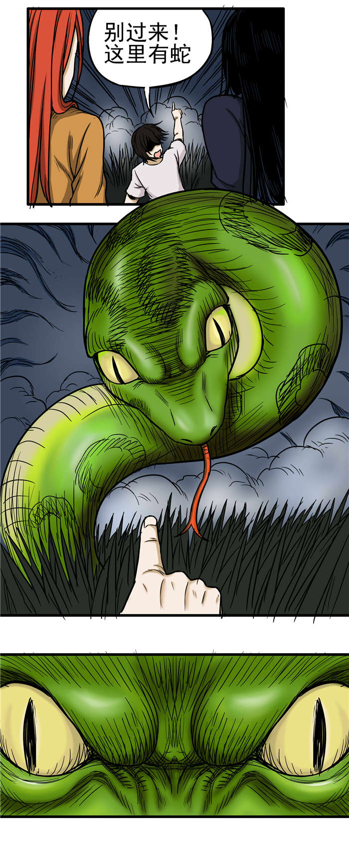 蛇妻漫画,第20章：巨蟒2图