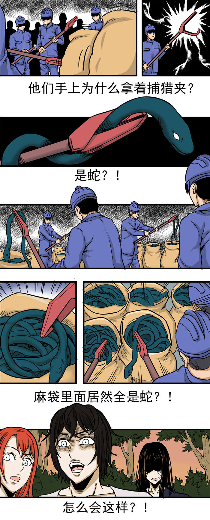 蛇妻漫画,第24章：又是好多蛇2图