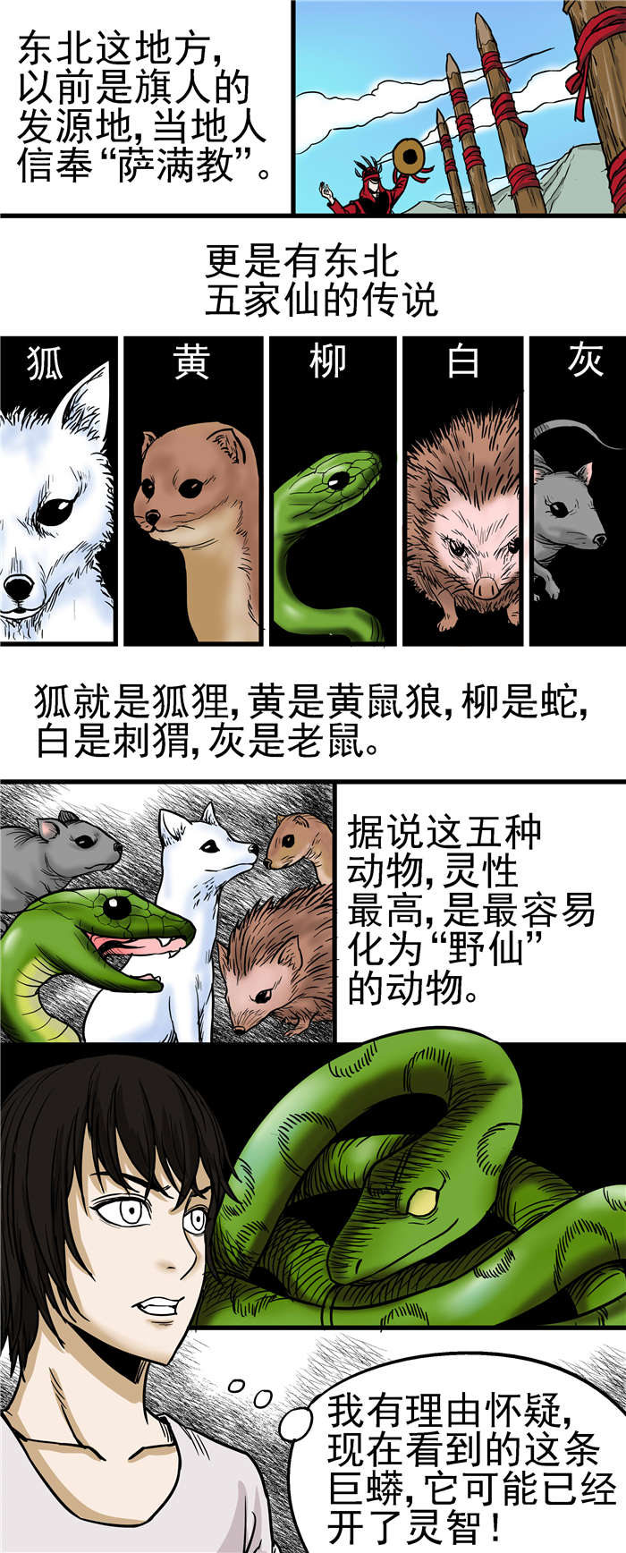 蛇妻漫画,第21章：五家仙传说5图