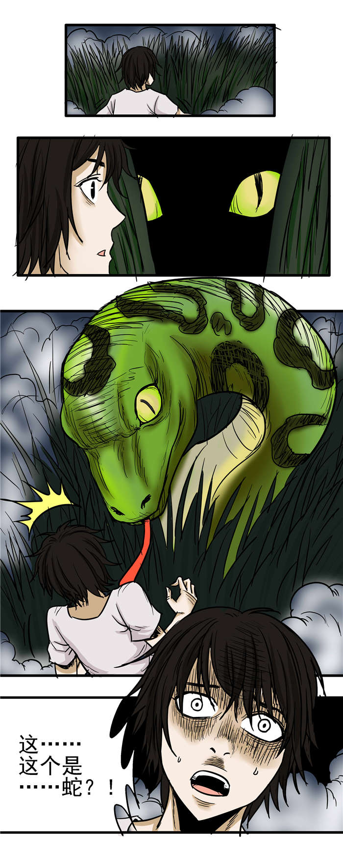 蛇妻漫画,第19章：遇蛇3图
