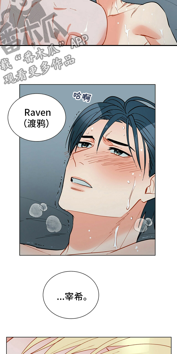 黑渡鸦漫画,第105章：【番外】误会4图