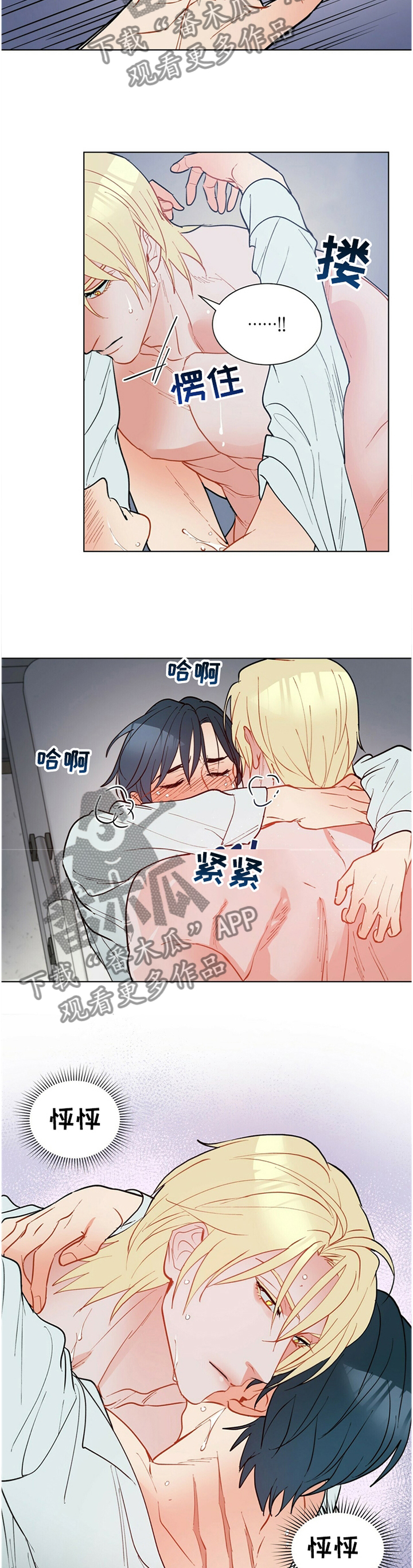 黑渡鸦漫画,第67章：告诉我,我是谁2图