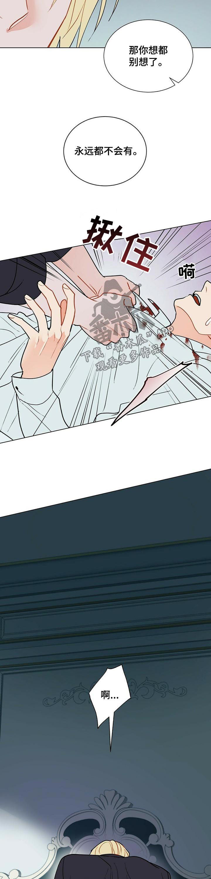 黑督督客户端漫画,第53章：永远都不会有5图