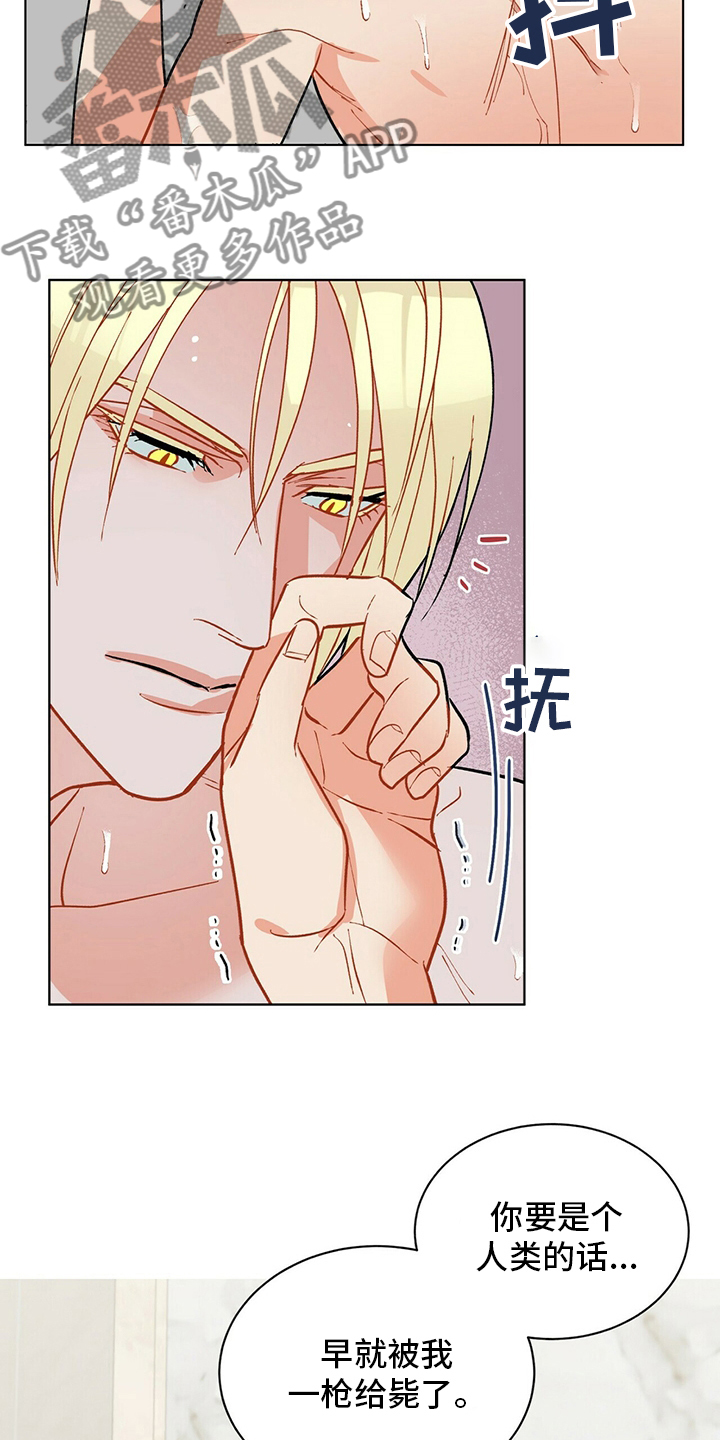 黑盾科技股份有限公司漫画,第108章：【番外】耀眼2图