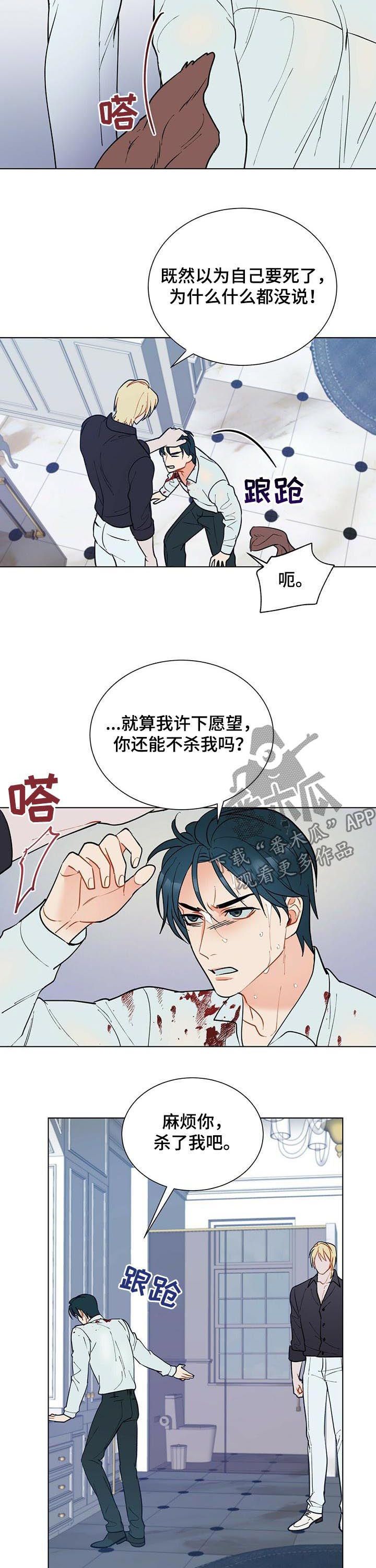 黑渡鸦漫画,第51章：赶紧许愿1图