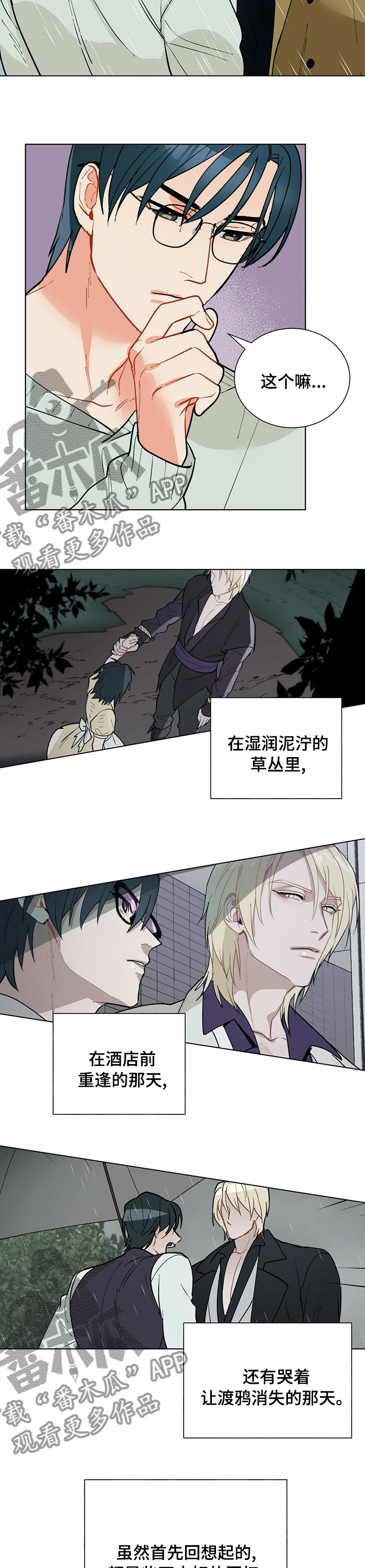 黑渡鸦漫画,第95章：【番外】下雨3图