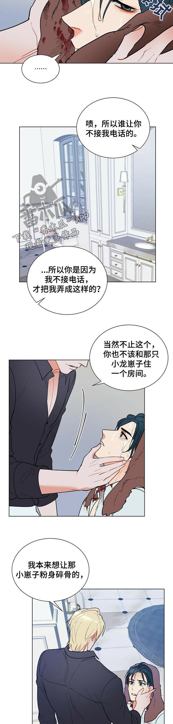 黑渡鸦漫画,第51章：赶紧许愿3图