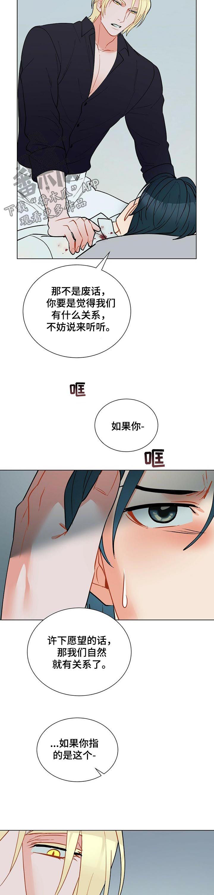 黑督督客户端漫画,第53章：永远都不会有4图