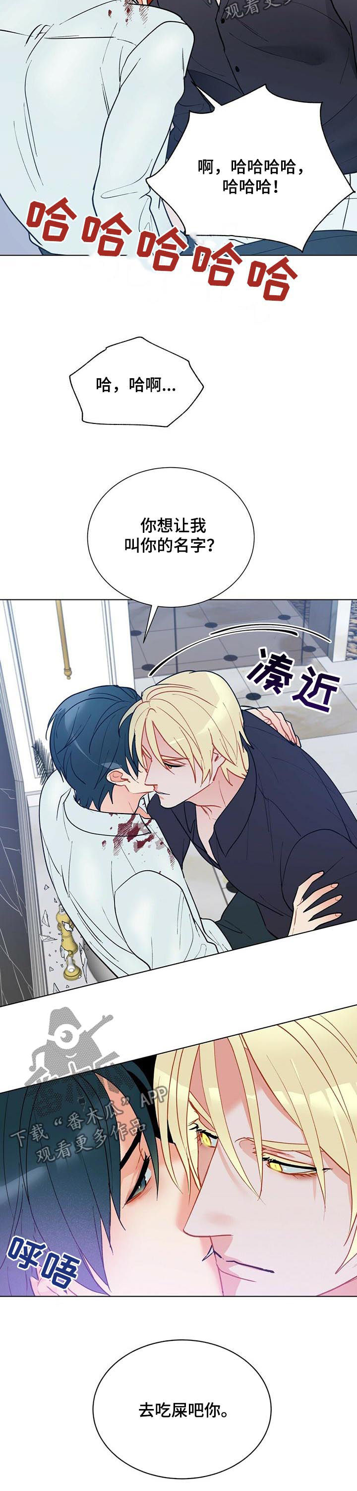 黑渡鸦漫画,第51章：赶紧许愿1图