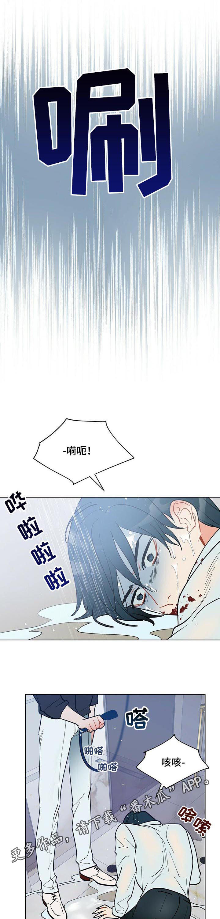 黑渡鸦漫画,第51章：赶紧许愿1图