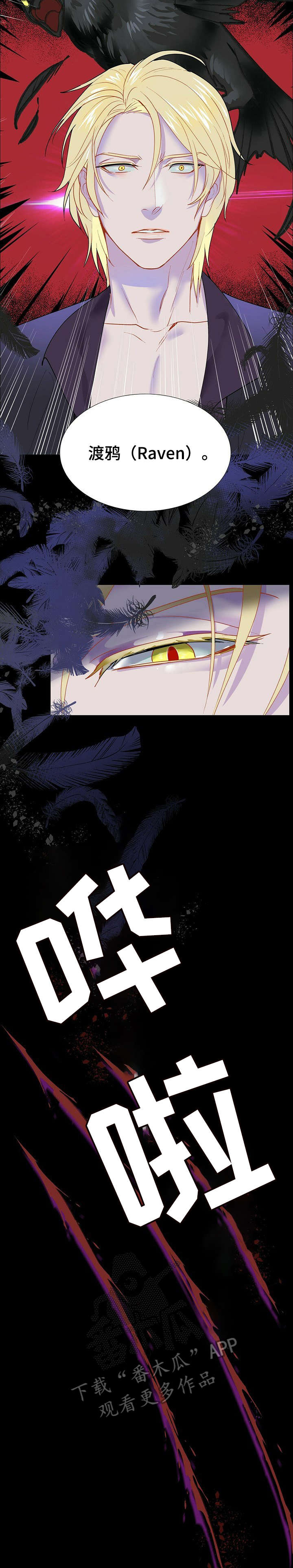 黑督督客户端漫画,第3章：工作3图