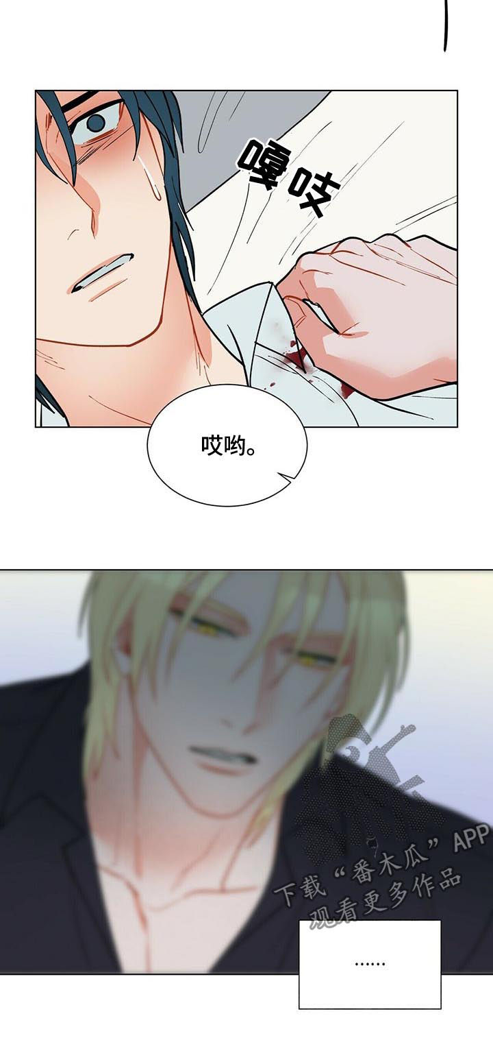 黑督督客户端漫画,第53章：永远都不会有5图